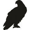 Орел 6 Орел 6