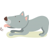 Собака Собака