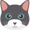 Кошка Кошка