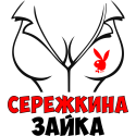 Сержкина зайка