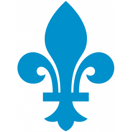 Логотип Quebec Nordiques - Квебек Нордикс