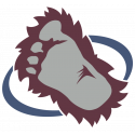 Логотип Colorado Avalanche - Колорадо Эвеланш