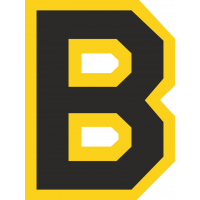 Логотип Boston Bruins - Бостон Брюинз