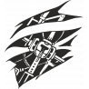 6 6